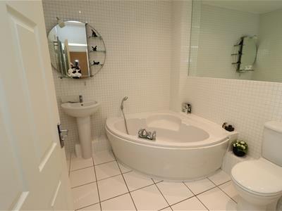Picture 14